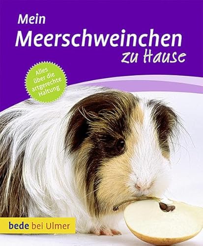 Beispielbild fr Mein Meerschweinchen zu Hause zum Verkauf von Ammareal