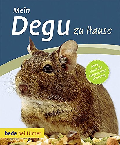 9783800169801: Mein Degu zu Hause