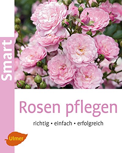 Stock image for Rosen pflegen: Richtig, einfach, erfolgreich for sale by medimops
