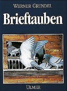 Brieftauben.