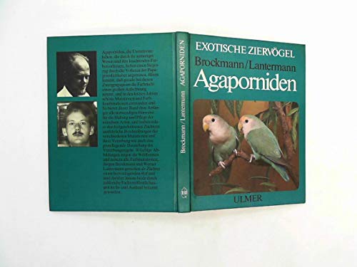 Stock image for Agaporniden : Haltung, Zucht u. Farbmutationen d. Unzertrennlichen. for sale by medimops