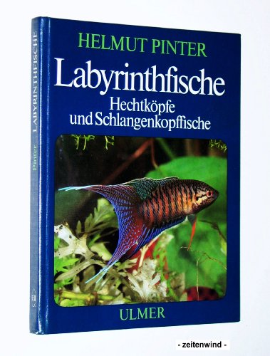 Beispielbild fr Labyrinthfische, Hechtkpfe und Schlangenkopffische zum Verkauf von medimops