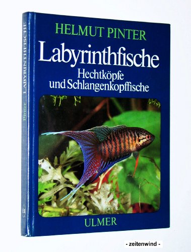 9783800170937: Labyrinthfische, Hechtkpfe und Schlangenkopffische