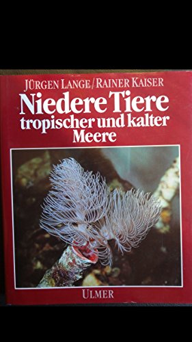 Stock image for Niedere Tiere tropischer und kalter Meere im Aquarium for sale by Der Bcher-Br