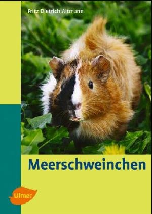 Beispielbild fr Meerschweinchen. Heimtiere halten zum Verkauf von medimops