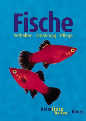 Fische im Aquarium (= Heimtiere halten)