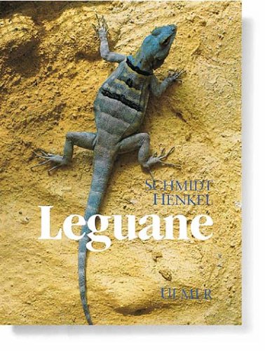Beispielbild fr Leguane. Biologie, Haltung und Zucht. zum Verkauf von Antiquariat J. Hnteler