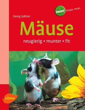 Mäuse, Ratten und Rennmäuse. Heimtiere halten