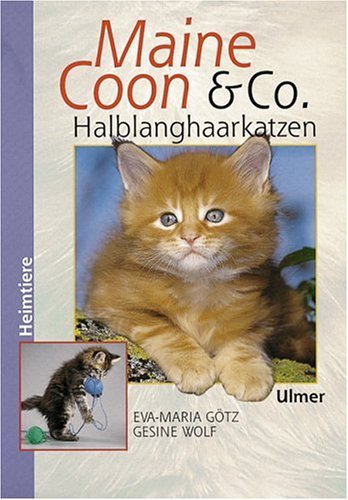 Beispielbild fr Maine Coon & Co. - Halblanghaarkatzen zum Verkauf von medimops