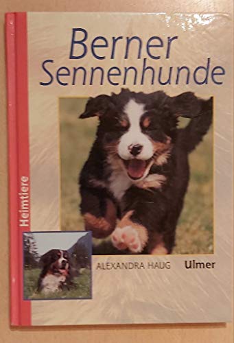 Stock image for Berner Sennenhunde (Heimtiere) for sale by medimops
