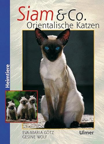 Beispielbild fr Siam und Co: Orientalische Katzen zum Verkauf von medimops