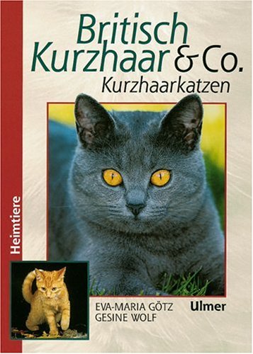 9783800174690: Britisch Kurzhaar & Co.