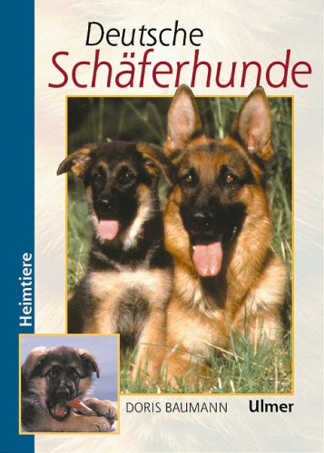 Deutsche Schäferhunde.