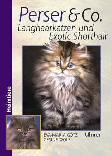 Beispielbild fr Perser und Co. Langhaarkatzen und Exotic Shorthair zum Verkauf von medimops