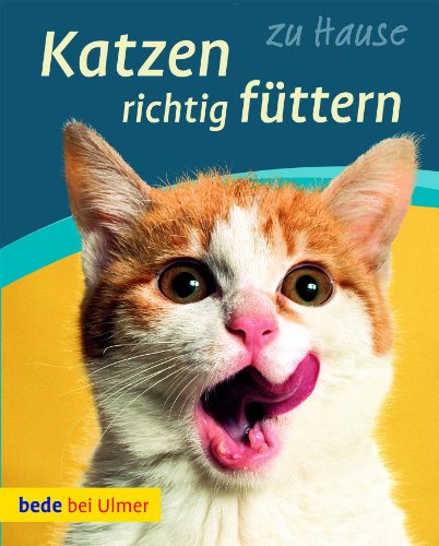 Stock image for Katzen richtig fttern : gesund, lecker, appetitlich. for sale by Wanda Schwrer