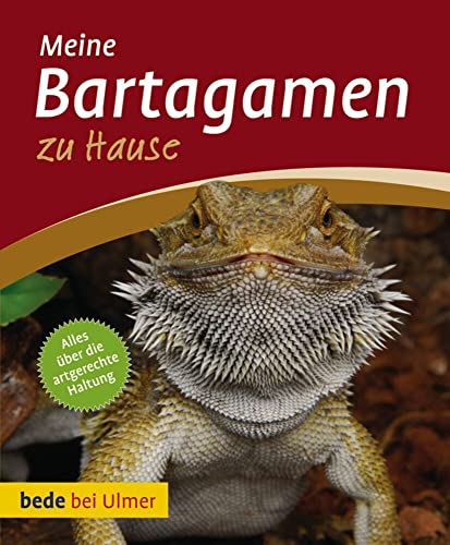 Stock image for Meine Bartagamen zu Hause for sale by Der Bcher-Br