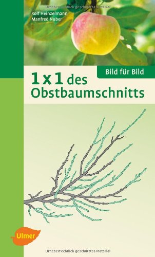Stock image for 1 x 1 des Obstbaumschnitts: Bild fr Bild for sale by medimops