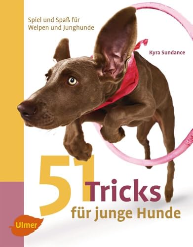 Imagen de archivo de 51 Tricks fr junge Hunde: Spiel und Spa fr Welpen und Junghunde a la venta por medimops