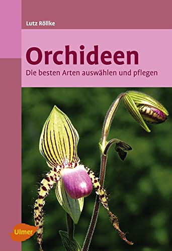 Beispielbild fr Orchideen: Die besten Arten auswhlen und pflegen zum Verkauf von medimops