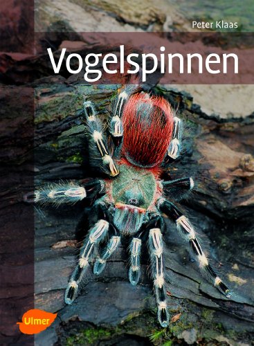 Stock image for Vogelspinnen for sale by medimops