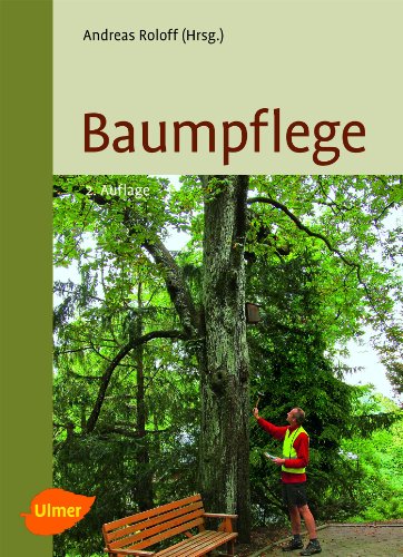 Stock image for Baumpflege: Baumbiologische Grundlagen und Anwendung for sale by medimops