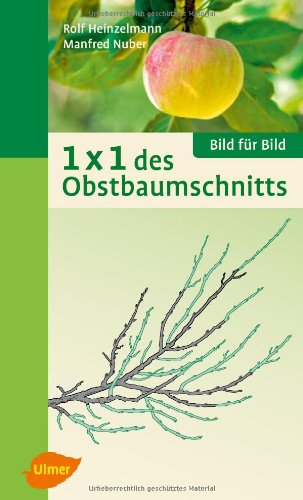 Stock image for 1 x 1 des Obstbaumschnitts: Bild fr Bild for sale by medimops