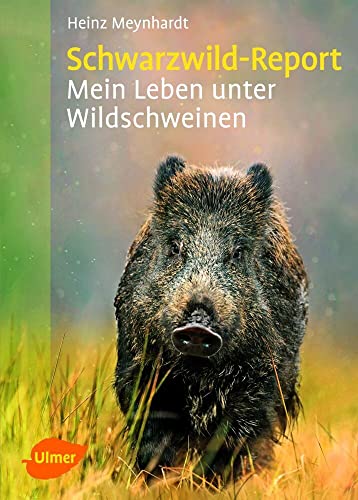 Imagen de archivo de Schwarzwild-Report -Language: german a la venta por GreatBookPrices