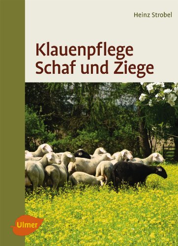 Beispielbild fr Klauenpflege Schaf und Ziege zum Verkauf von medimops