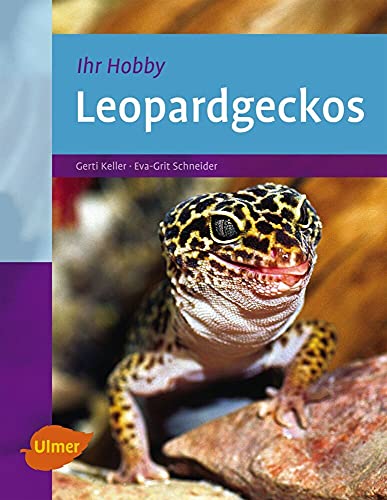 Stock image for Leopardgeckos for sale by medimops