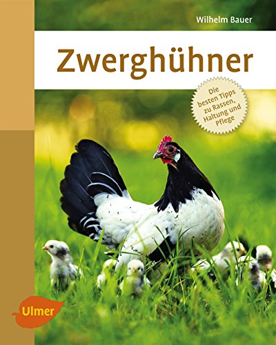 Stock image for Zwerghhner: Die besten Tipps zu Rassen, Haltung und Pflege for sale by medimops