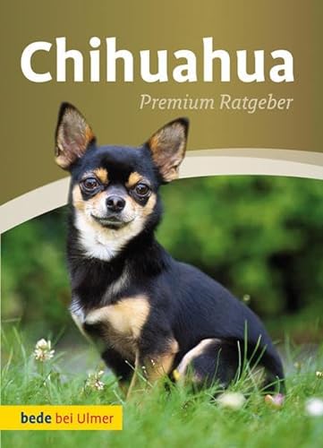 Beispielbild fr Chihuahua: Premium Ratgeber zum Verkauf von medimops