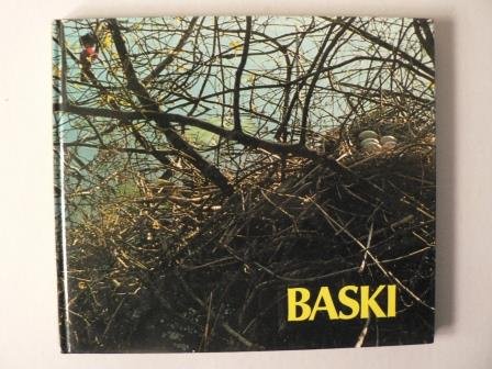 9783800301751: Baski. Auf der Vogelinsel. (Bd. 8)