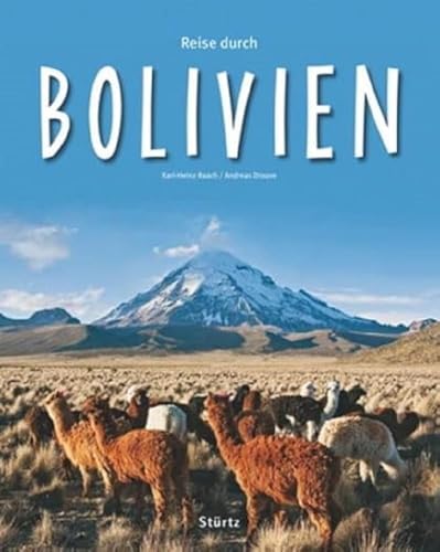 Beispielbild fr Reise durch Bolivien zum Verkauf von medimops