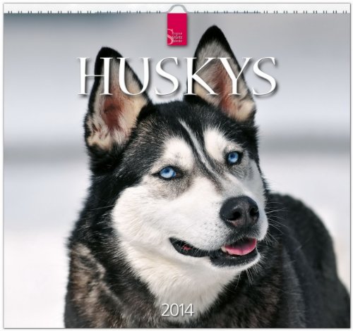 9783800351947: Huskys 2014: Original Strtz-Kalender - Mittelformat-Kalender 33 x 31 cm [Spiralbindung]