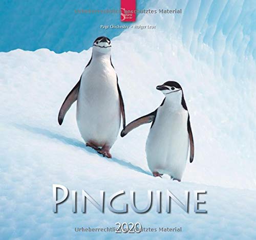 Beispielbild fr Pinguine: Original Strtz-Kalender 2020 - Mittelformat-Kalender 33 x 31 cm zum Verkauf von medimops