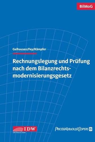 Stock image for Rechnungslegung und Prfung nach dem Bilanzrechtsmodernisierungsgesetz for sale by Buchpark