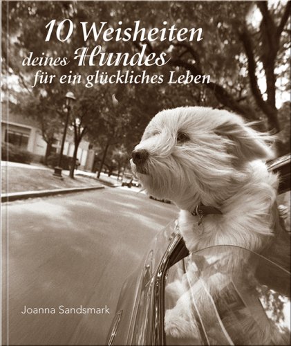 10 Weisheiten deines Hundes für ein glückliches Leben.