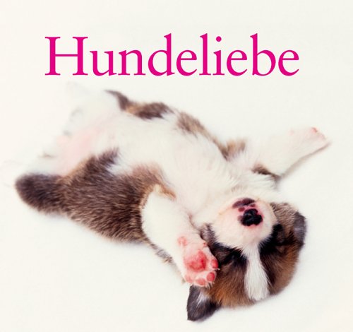 Stock image for Hundeliebe for sale by medimops