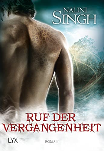 Stock image for Ruf der Vergangenheit: Roman for sale by medimops