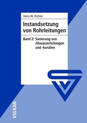 9783802727313: Richter, H: Instandsetzungen