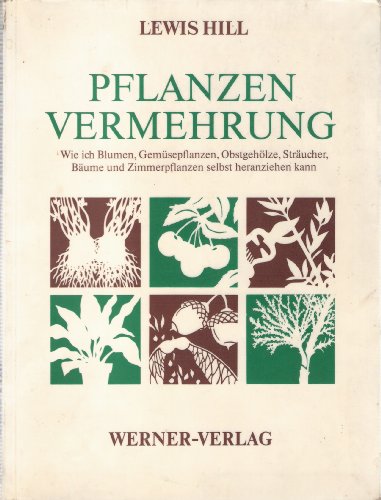 Beispielbild fr Pflanzenvermehrung zum Verkauf von Buchmarie