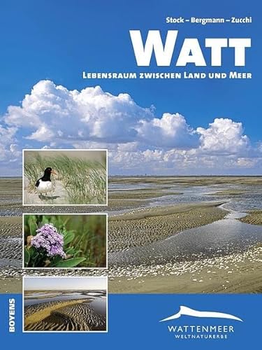 Stock image for Watt - Lebensraum zwischen Land und Meer for sale by medimops
