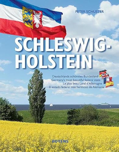Beispielbild fr Schleswig-Holstein zum Verkauf von MusicMagpie