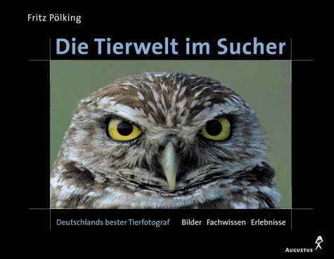 Stock image for Die Tierwelt im Sucher for sale by medimops