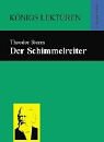 Der Schummelreiter (9783804430051) by Storm