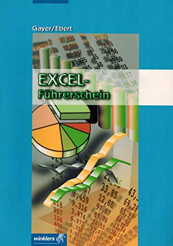 Beispielbild fr EXCEL-Fhrerschein: Excel 2003: Schlerbuch, 3., berarbeitete Auflage, 2010 zum Verkauf von medimops