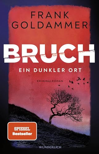 Stock image for Bruch: Ein dunkler Ort (Felix Bruch, Band 1) for sale by medimops