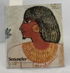 Imagen de archivo de Sen-nefer: Die Grabkammer des Burgermeisters von Theben a la venta por Andover Books and Antiquities