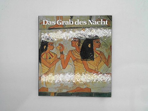 9783805313322: Das Grab der Nacht: Kunst und Geschichte eines Beamtengrabes der 18. Dynastie in Theben-West