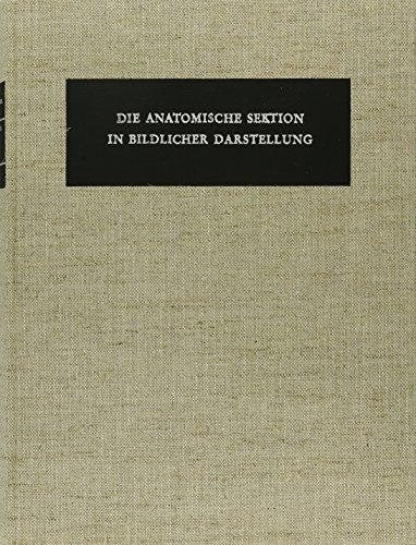 Die anatomische Sektion in bildlicher Darstellung - Cetto, Anna Maria/Wolf-Heidegger, G.